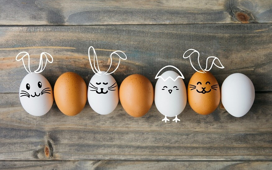 World Egg Day 2025