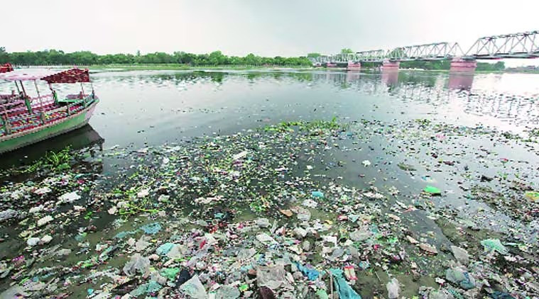 Yamuna River Polluted