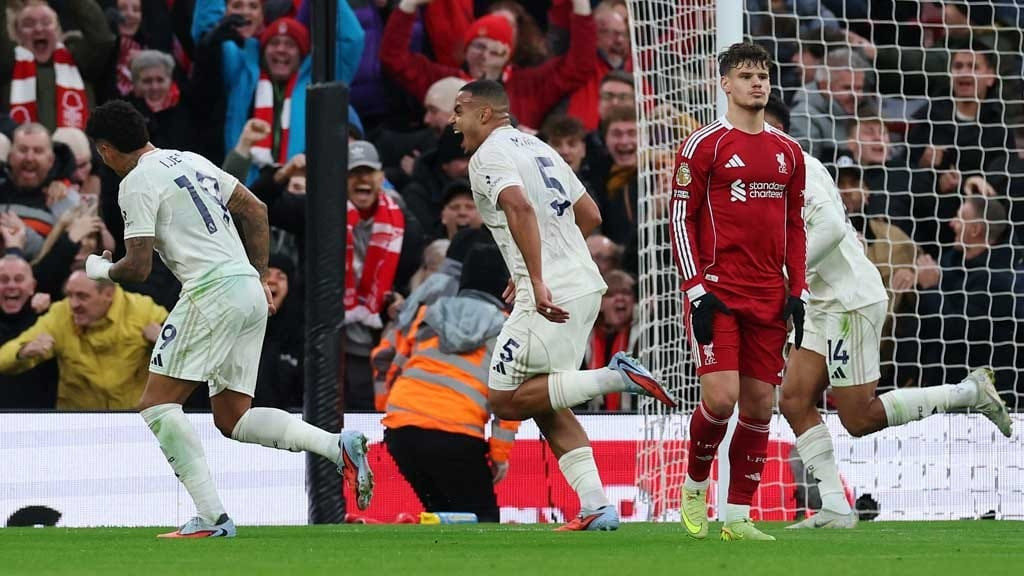 English Premier League (symbolic picture)