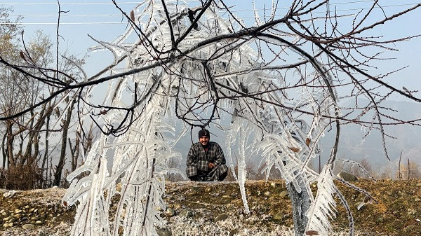 Chill Grips Valley, Srinagar Shivers At Minus 4.4