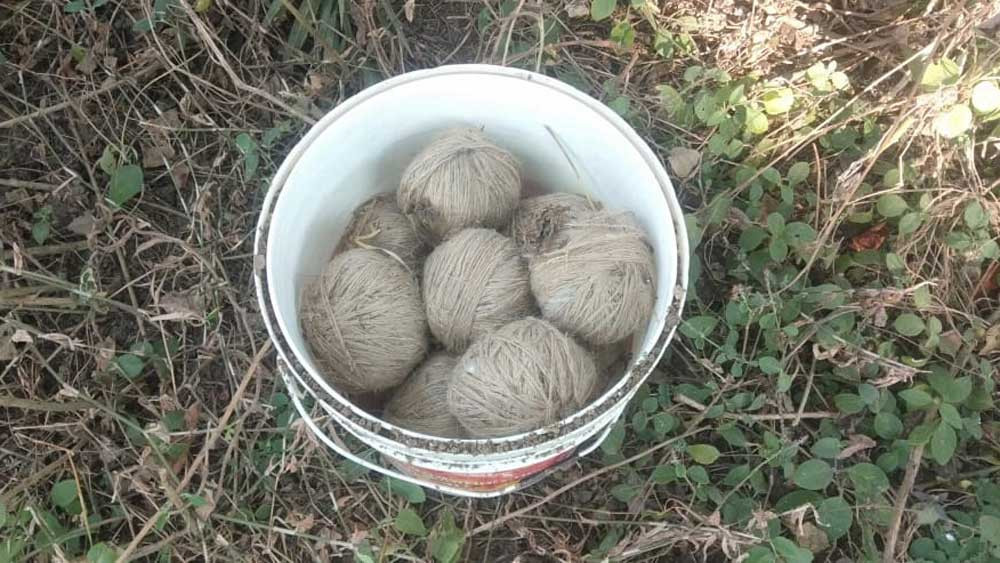 Murshidabad Bomb Recovery