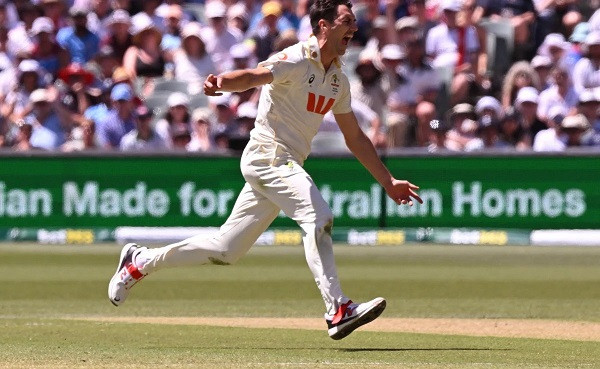 Pat Cummins in action