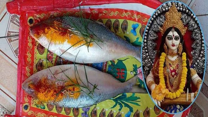 Saraswati Puja Hilsa Tradition