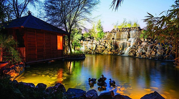 Treehouse Resort of Rajasthan