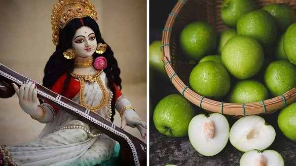 Avoid Eating Jujube Before Saraswati Puja
