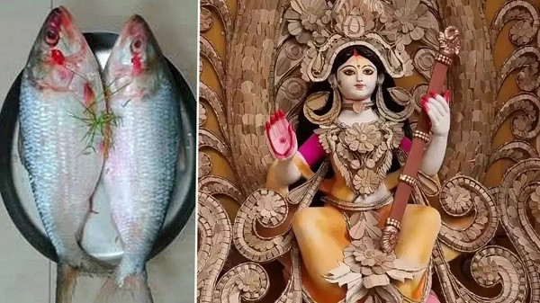 Bengali Hilsa Tradition