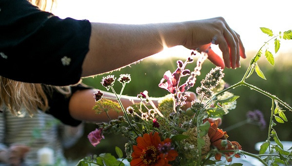 Warming Temperatures & Longer Days