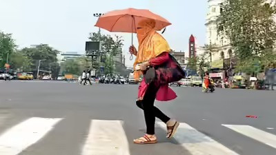 Bengal Weather Forecast