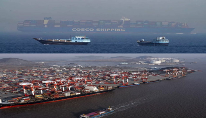 37 Indian ships stuck in Persian Gulf amid West Asia crisis