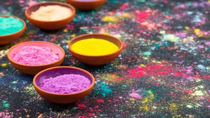 Dol Purnima Vastu tips