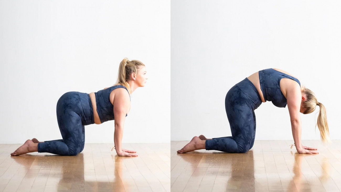 Yoga Poses for Digestive Health