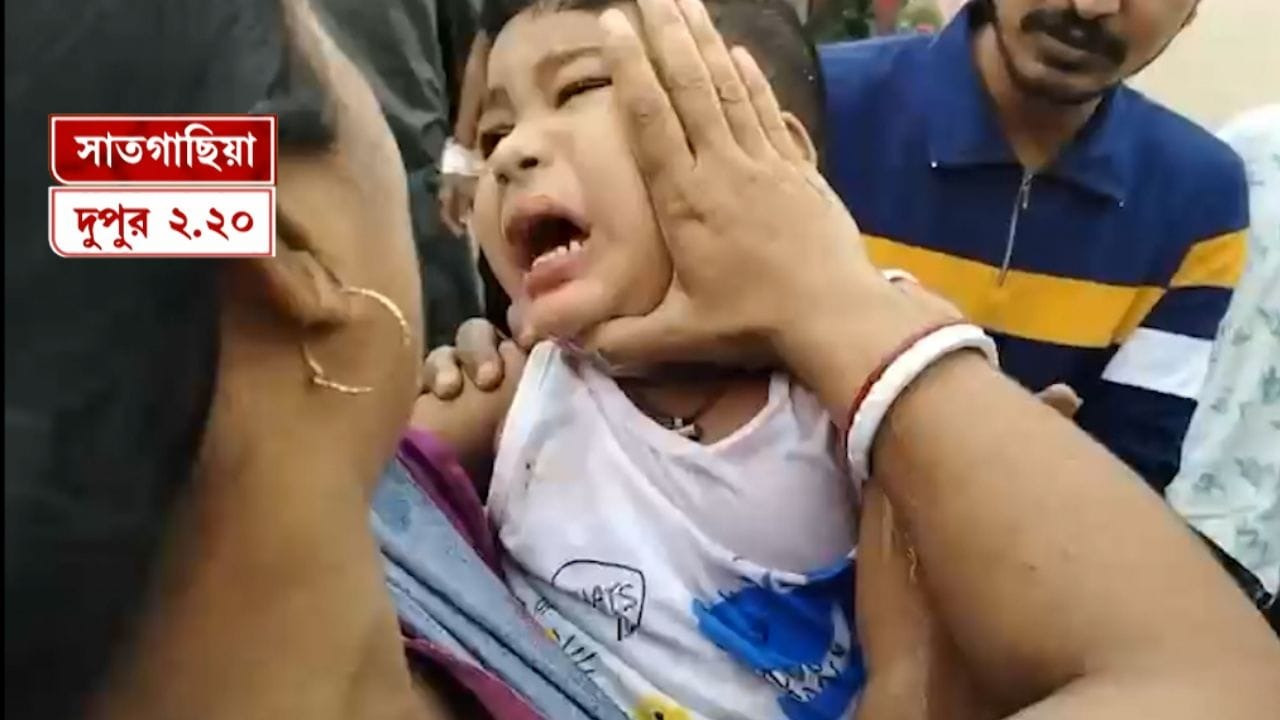 After Falta, Now Satgachia: Fresh Allegations of Lathi-Charge on Voters; Child Injured