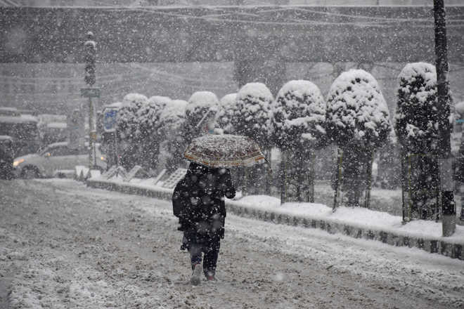 kashmir Rain Snow Forecast