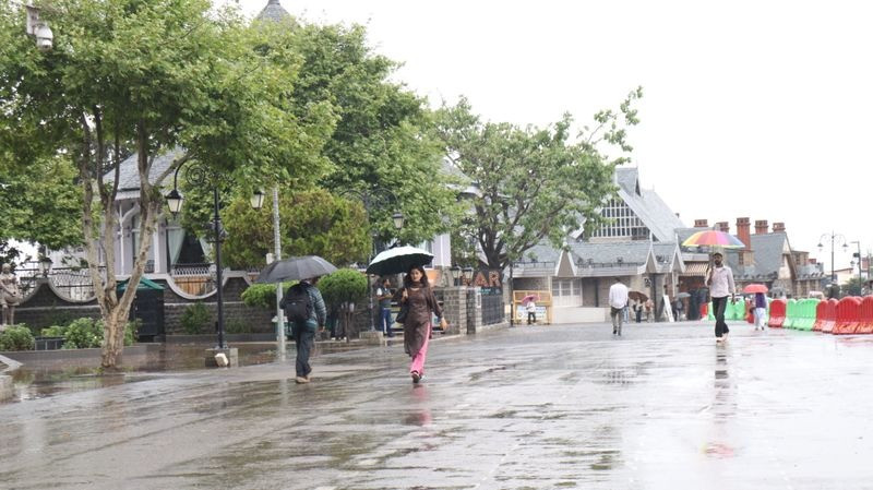 Commuters use an umbrellas during rain in Shimla. Tribune