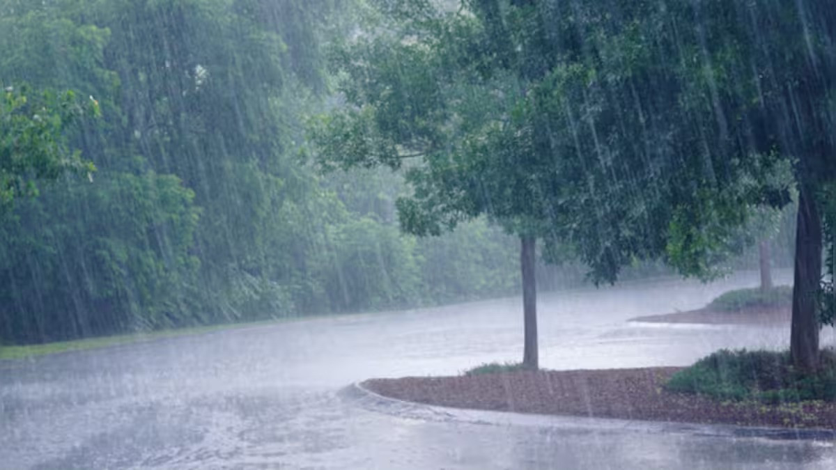 WB Monsoon Update