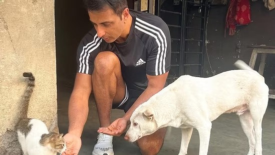 Sonu Sood On Animal Safety
