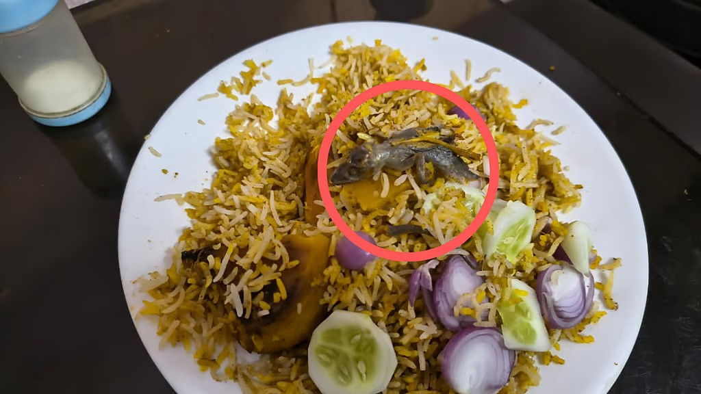 A boiled lizard was found as soon as the biryani rice was moved aside!