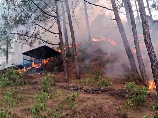 Rajouri forest  fire