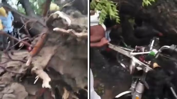 5 killed, 3 injured as tree falls onto e-rickshaw during storm in UP's Firozabad