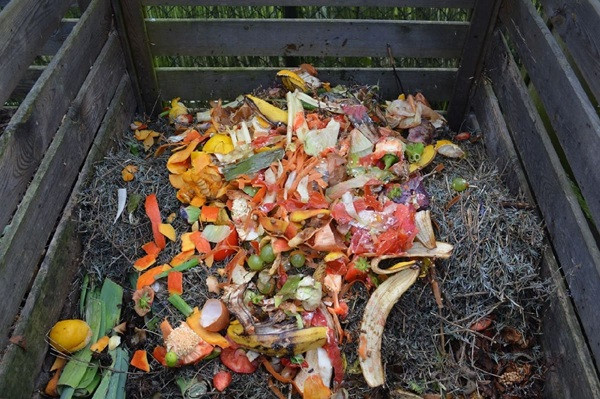 Garden Waste Compost Sandwich Method