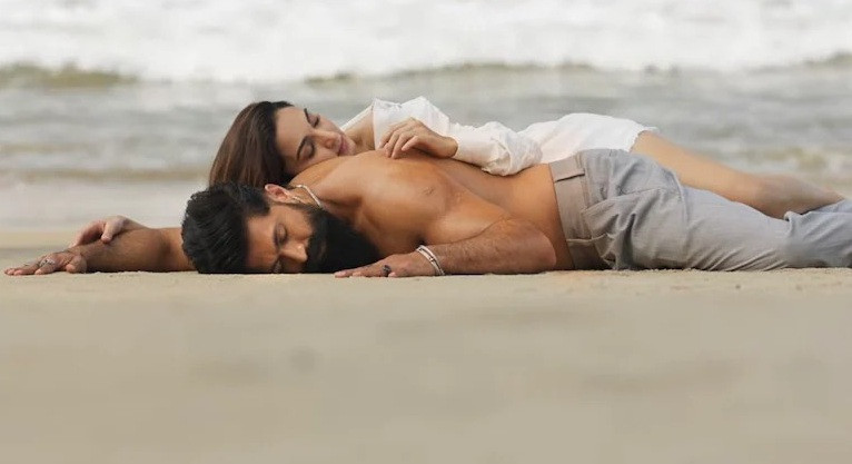A still from the song Tabaahi