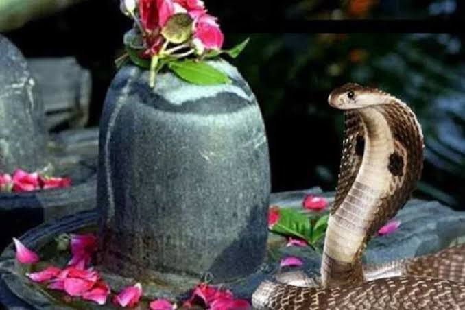 Nag Panchami 2026