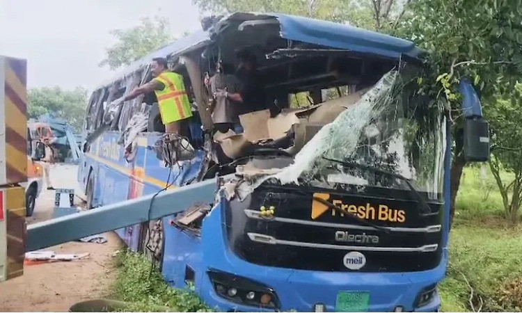 Six killed in road accident in Telangana
