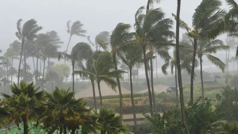 Cyclone Arnab Weakens