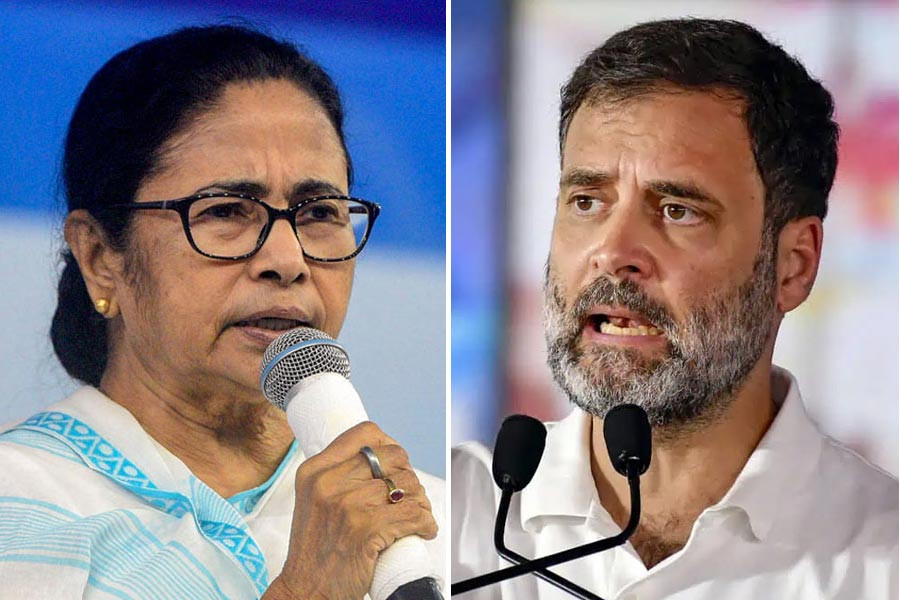 Mamata Banerjee and Rahul Gandhi
