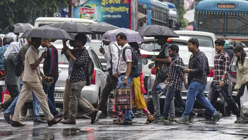 Scattered Rain Bengal