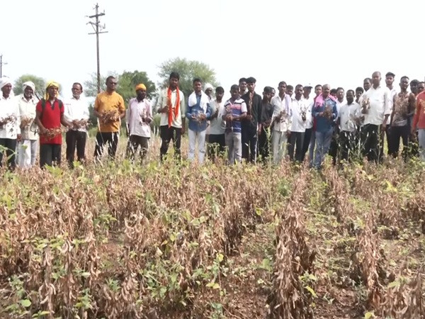 Severe drought grips Yavatmal