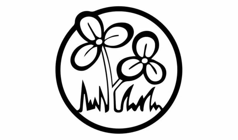 TMC Name, Symbol Frozen