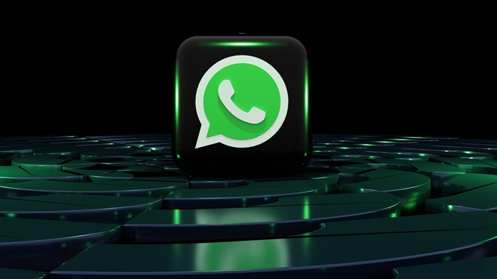 WhatsApp Scam Alert Feature
