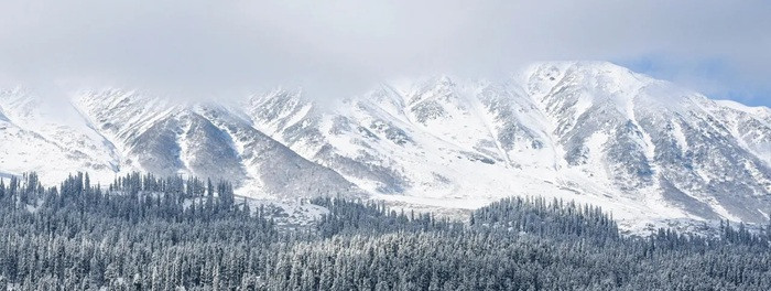 Fresh Snowfall in Kashmir’s Higher Reaches