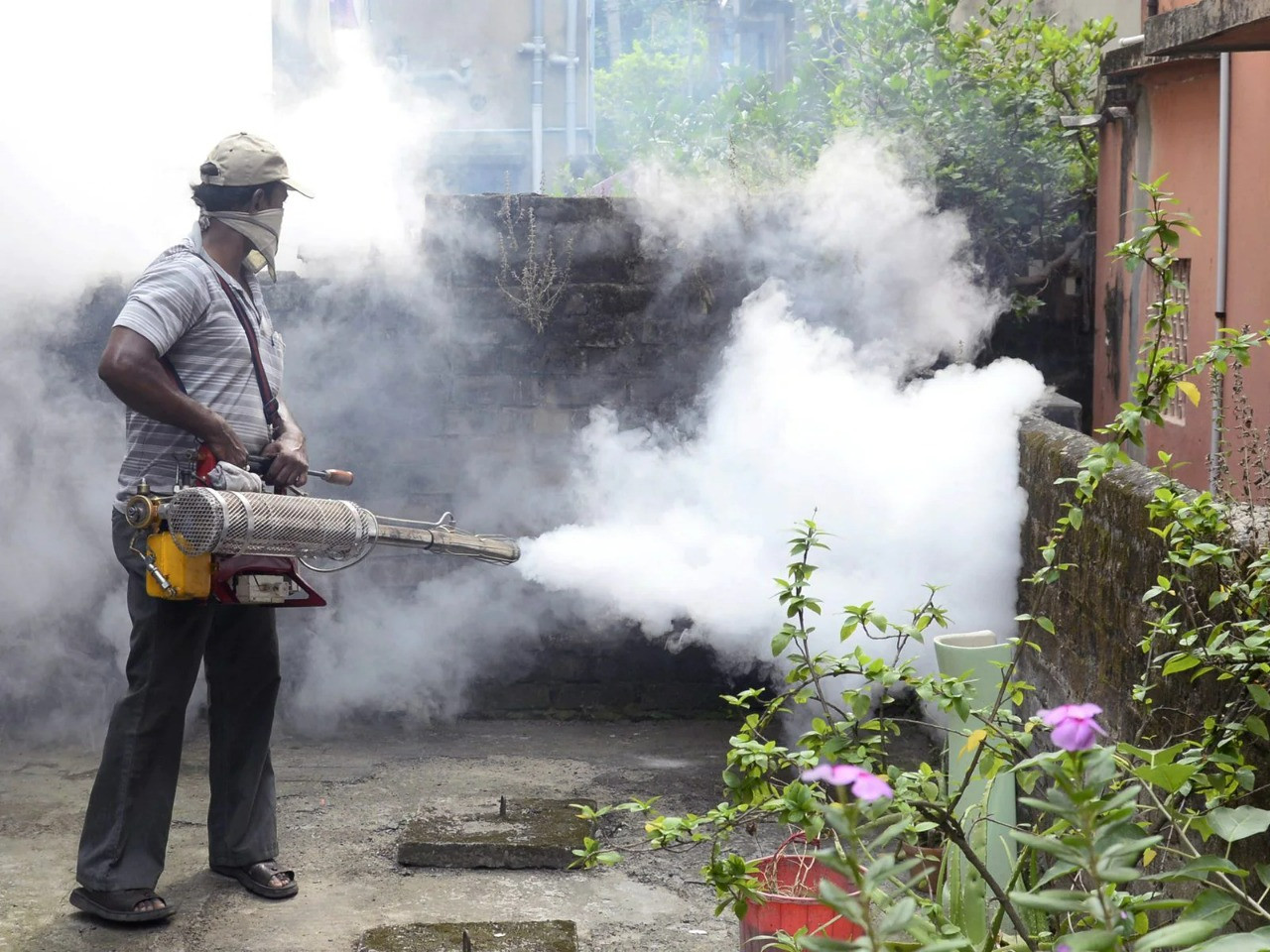 hawrah dengue problem at Kolkata today