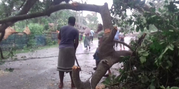 Trees uprooted in haldia of Purba Medinipur