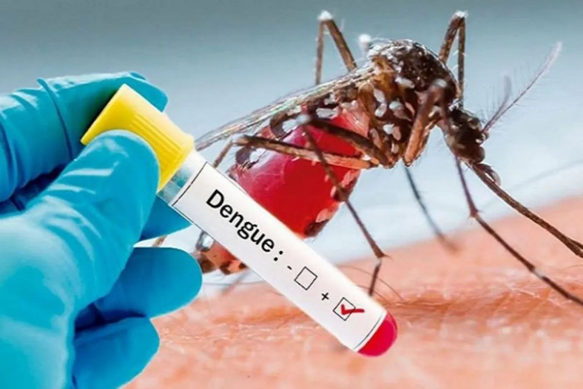 Dengue case are rising in state