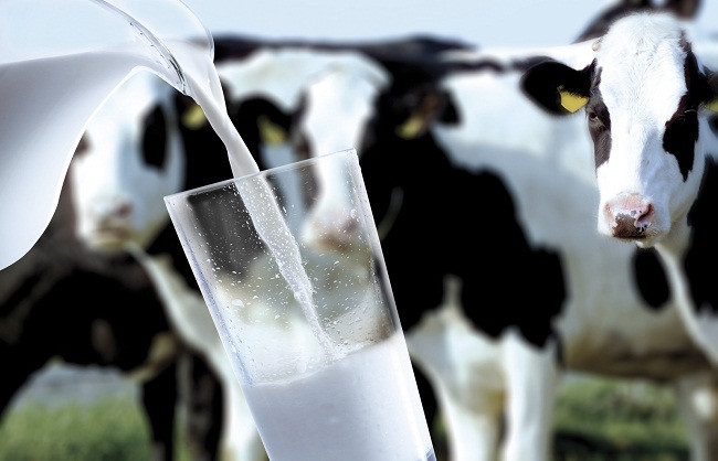 Milk price has increased from 17 august